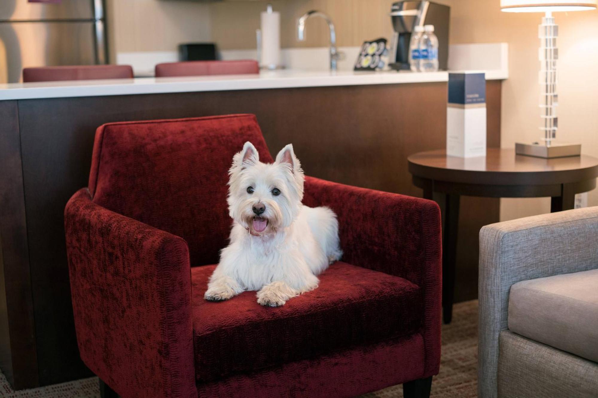 Residence Inn By Marriott Chicago Downtown/Loop Ngoại thất bức ảnh